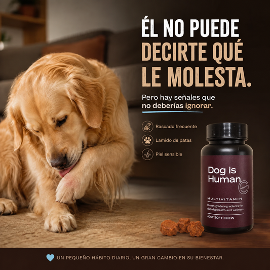 Dog is Human™ | Ayuda a cuidar la piel y el pelaje de tu perro